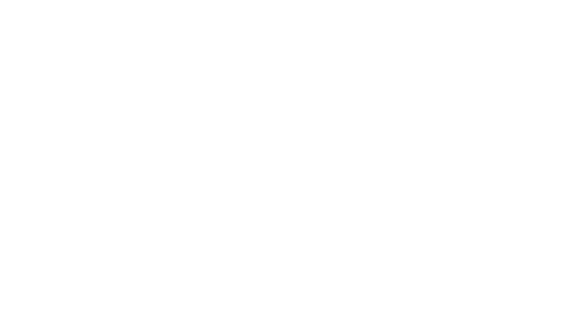 Taurus BPO