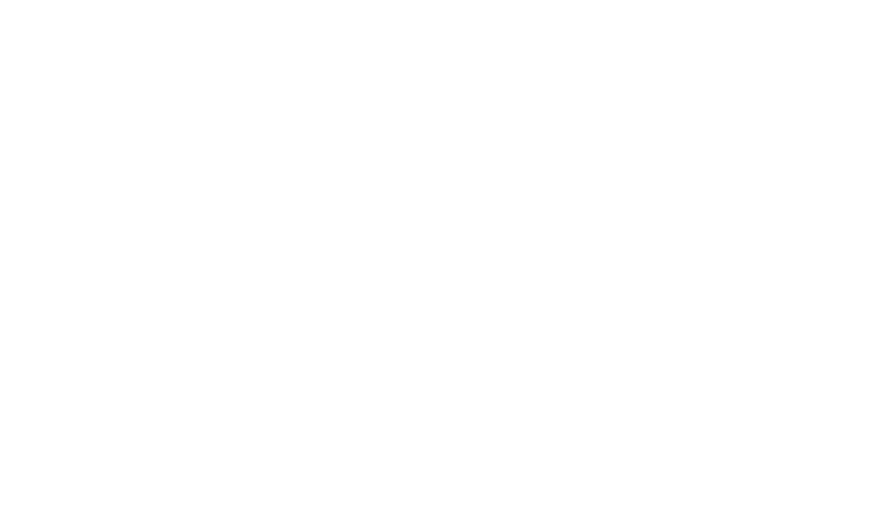 Taurus BPO